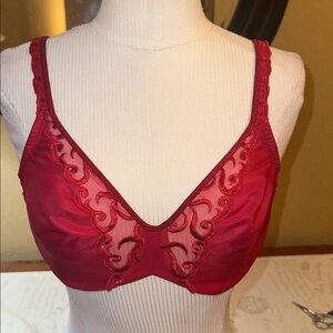 Lilyette Vibrant Red Embroidered Bra
